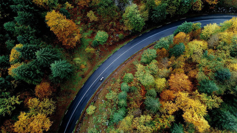 Winding road through autumn woodland on hills, captured in vivid aerial drone footage