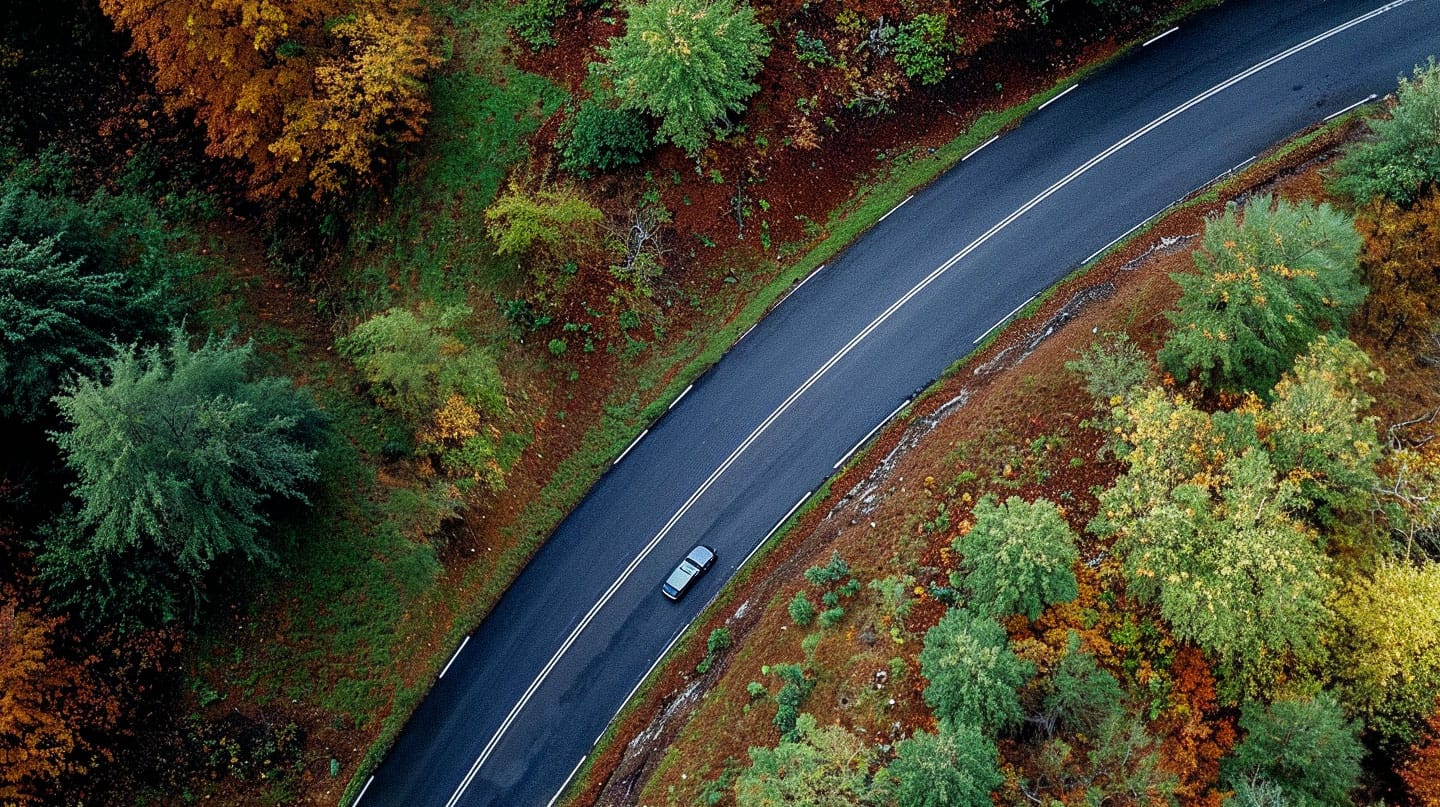 Winding road through autumn woods on hills, captured from above in vivid natural colors