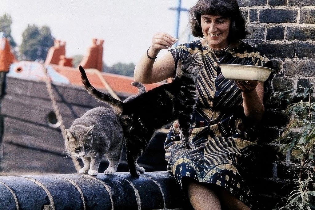Mary Fedden feeding her cats at Durham Wharf, showcasing her vibrant style. Explore Midjourney prompt techniques for similar art.