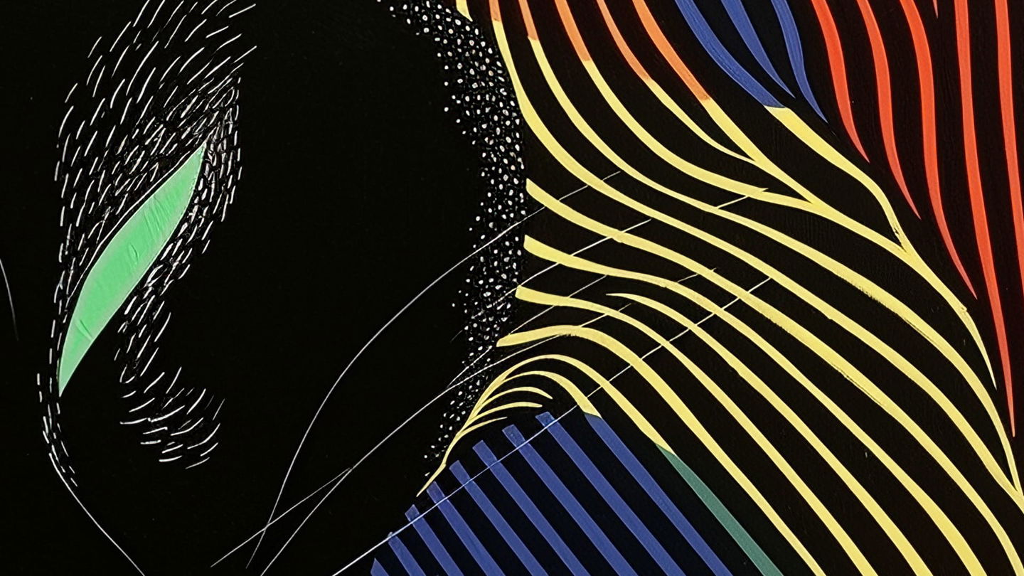Abstract flowing lines and feather-like shapes in bright multicolored strokes on black
