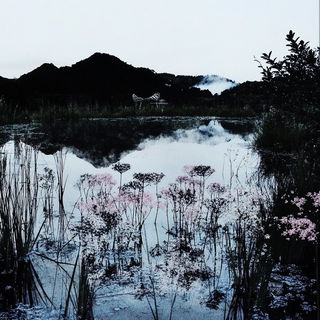 Sanguine Mordant style, Midjourney V6.1: realistic landscape photograph of quiet dawn