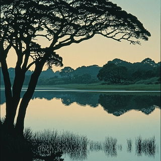 Chronocel style, Midjourney V6.1: realistic landscape photograph of quiet dawn