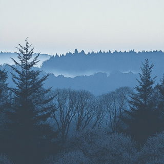 Scallopchrome style, Midjourney V6.1: realistic landscape photograph of quiet dawn