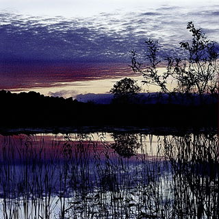 Cinderwake Harbor style, Midjourney V6.1: realistic landscape photograph of quiet dawn