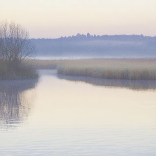 Chromasketch style, Midjourney V6.1: realistic landscape photograph of quiet dawn