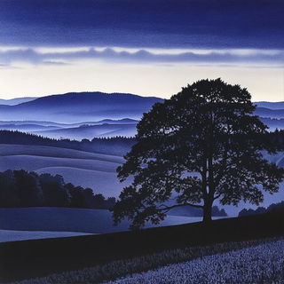 Gilded Phyllomancy style, Midjourney V6.1: realistic landscape photograph of quiet dawn