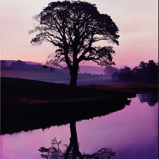 Midway Magenta style, Midjourney V6.1: realistic landscape photograph of quiet dawn