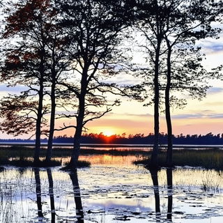 Scalefoam style, Midjourney V6.1: realistic landscape photograph of quiet dawn