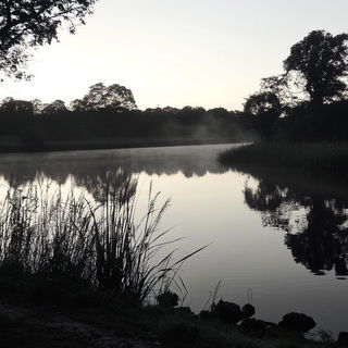 Kaleidocel Forge style, Midjourney V6.1: realistic landscape photograph of quiet dawn
