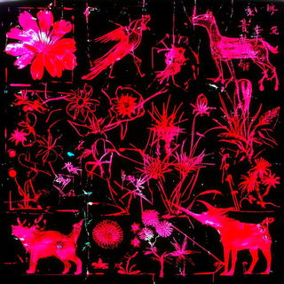 Cellular Aurora style, Midjourney V6.1: traditional folk art