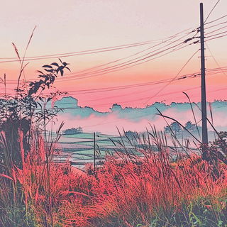 Cutout Botanical Stopmotion style, Midjourney V6.1: realistic landscape photograph of quiet dawn