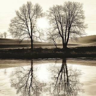 Circles Under the Ink Mountain style, Midjourney V6.1: realistic landscape photograph of quiet dawn