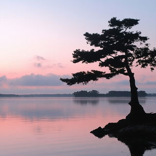 Indigold Loomcraft style, Midjourney V6.1: realistic landscape photograph of quiet dawn