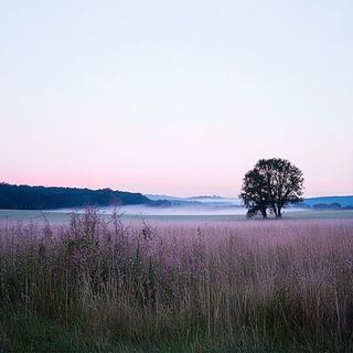Bluepetal Orbitals style, Midjourney V6.1: realistic landscape photograph of quiet dawn