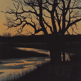 Magencore style, Midjourney V6.1: realistic landscape photograph of quiet dawn