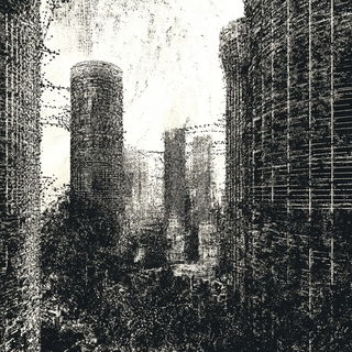 Cryovolcanic Silhouette style, Midjourney V6.1: megacity with futuristic bioarchitecture