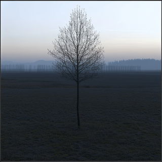 Collageolithica style, Midjourney V6.1: realistic landscape photograph of quiet dawn