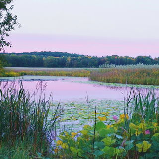 Gothicloris style, Midjourney V6.1: realistic landscape photograph of quiet dawn