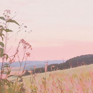 The Dustlight Archive style, Midjourney V6.1: realistic landscape photograph of quiet dawn