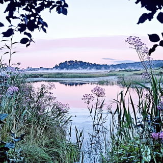 Tealithography style, Midjourney V6.1: realistic landscape photograph of quiet dawn