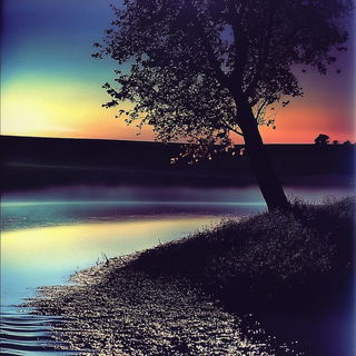 Voltage Thicket style, Midjourney V6.1: realistic landscape photograph of quiet dawn