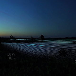 Scarlet Plumage Theater style, Midjourney V6.1: realistic landscape photograph of quiet dawn