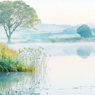 Suitcase Coast style, Midjourney V6.1: realistic landscape photograph of quiet dawn