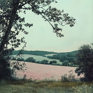 Ravencinder style, Midjourney V6.1: realistic landscape photograph of quiet dawn