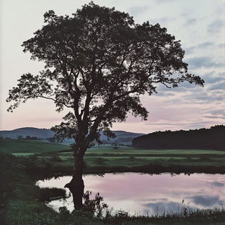 Blackwater Vitraelia style, Midjourney V6.1: realistic landscape photograph of quiet dawn