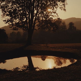 Galeprint style, Midjourney V6.1: realistic landscape photograph of quiet dawn