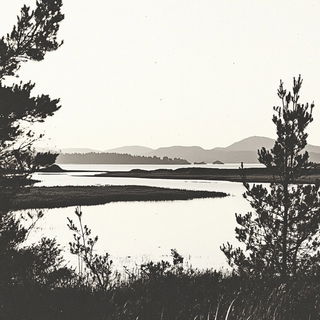 Darkroom Nacre style, Midjourney V6.1: realistic landscape photograph of quiet dawn