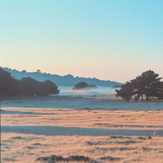 Dragonfly Machinism style, Midjourney V6.1: realistic landscape photograph of quiet dawn