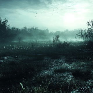 Kinetofluidics style, Midjourney V6.1: realistic landscape photograph of quiet dawn