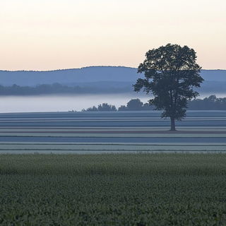 Ferrumshade style, Midjourney V6.1: realistic landscape photograph of quiet dawn