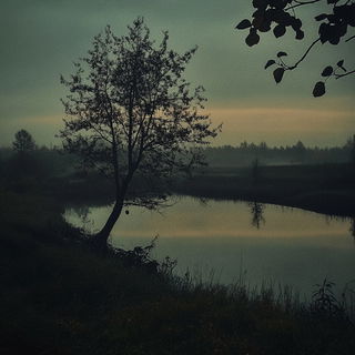 Aeromosaic style, Midjourney V6.1: realistic landscape photograph of quiet dawn