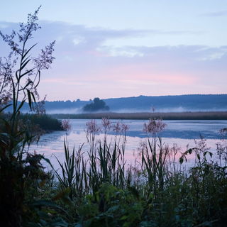 Inkfeather style, Midjourney V6.1: realistic landscape photograph of quiet dawn