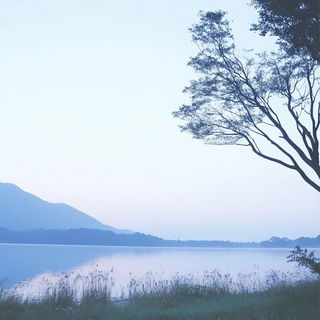 Filament Raptor style, Midjourney V6.1: realistic landscape photograph of quiet dawn