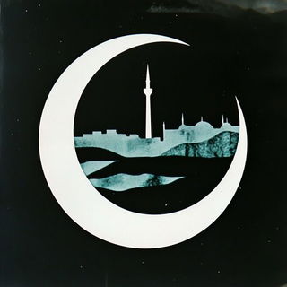 Panelhorizon style, Midjourney V6.1: bold minimalist logo design for Istanbul city municipal services