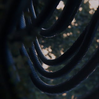 Whale Signal style, Midjourney V6.1: abstract 3D render