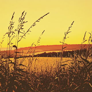 Ruinopticism style, Midjourney V6.1: realistic landscape photograph of quiet dawn