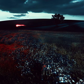 Botanotigerism style, Midjourney V6.1: realistic landscape photograph of quiet dawn
