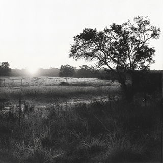 Inklandorph style, Midjourney V6.1: realistic landscape photograph of quiet dawn