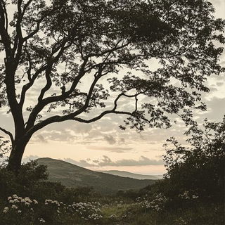 Glazeflux style, Midjourney V6.1: realistic landscape photograph of quiet dawn