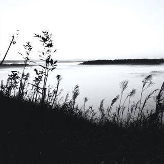 Tealglass Phytography style, Midjourney V6.1: realistic landscape photograph of quiet dawn