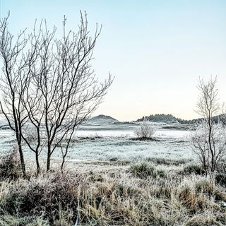 Lithicircle style, Midjourney V6.1: realistic landscape photograph of quiet dawn