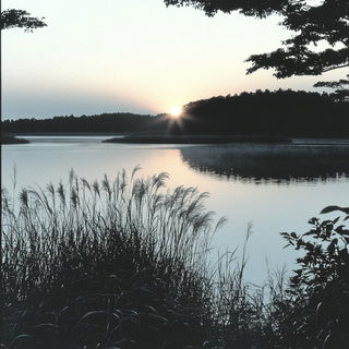 Ochre Moonline style, Midjourney V6.1: realistic landscape photograph of quiet dawn