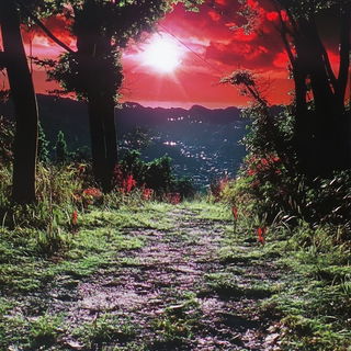 Burinweather style, Midjourney V6.1: realistic landscape photograph of quiet dawn