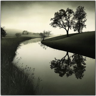 Botanomarble style, Midjourney V6.1: realistic landscape photograph of quiet dawn