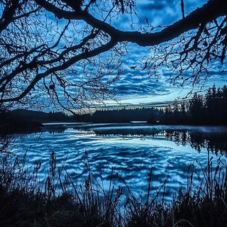 Smogchromatic style, Midjourney V6.1: realistic landscape photograph of quiet dawn