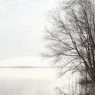 Inkstone Pilgrimage style, Midjourney V6.1: realistic landscape photograph of quiet dawn